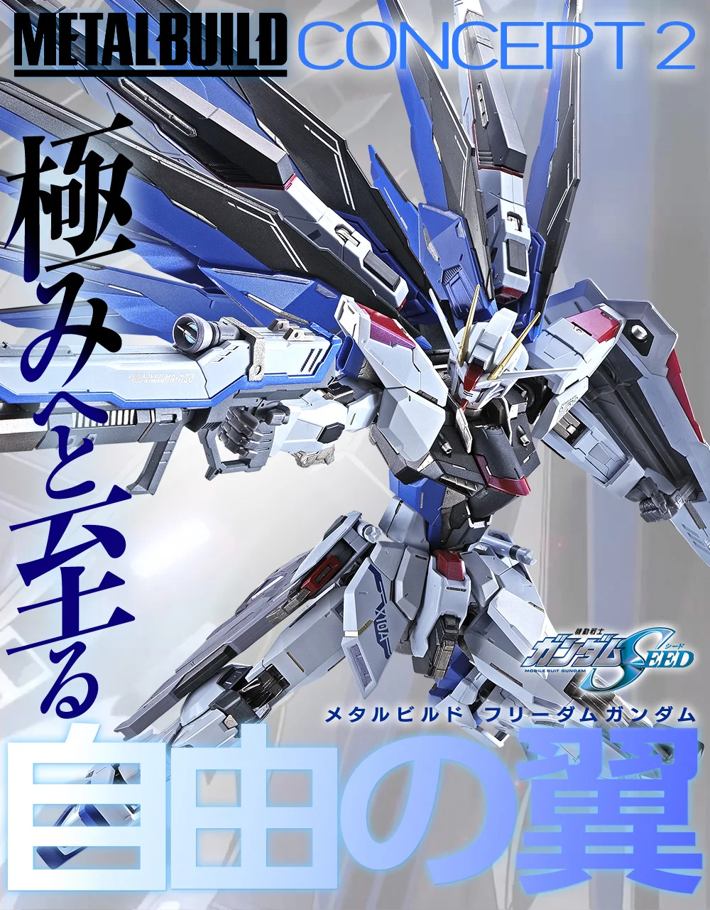 METAL BUILD FREEDOM GUNDAM CONCEPT 2 - Rise of Gunpla