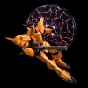 RE/100 1/100 SHOKEW