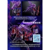 MG 1/100 Wing Gundam Zero EW Ver. Ka (Cross Contrast Color / Clear Purple)