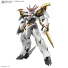 HG AMPLIFIED IMGN RYUOUMARU