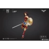 MS GENERAL DC WONDER WOMAN