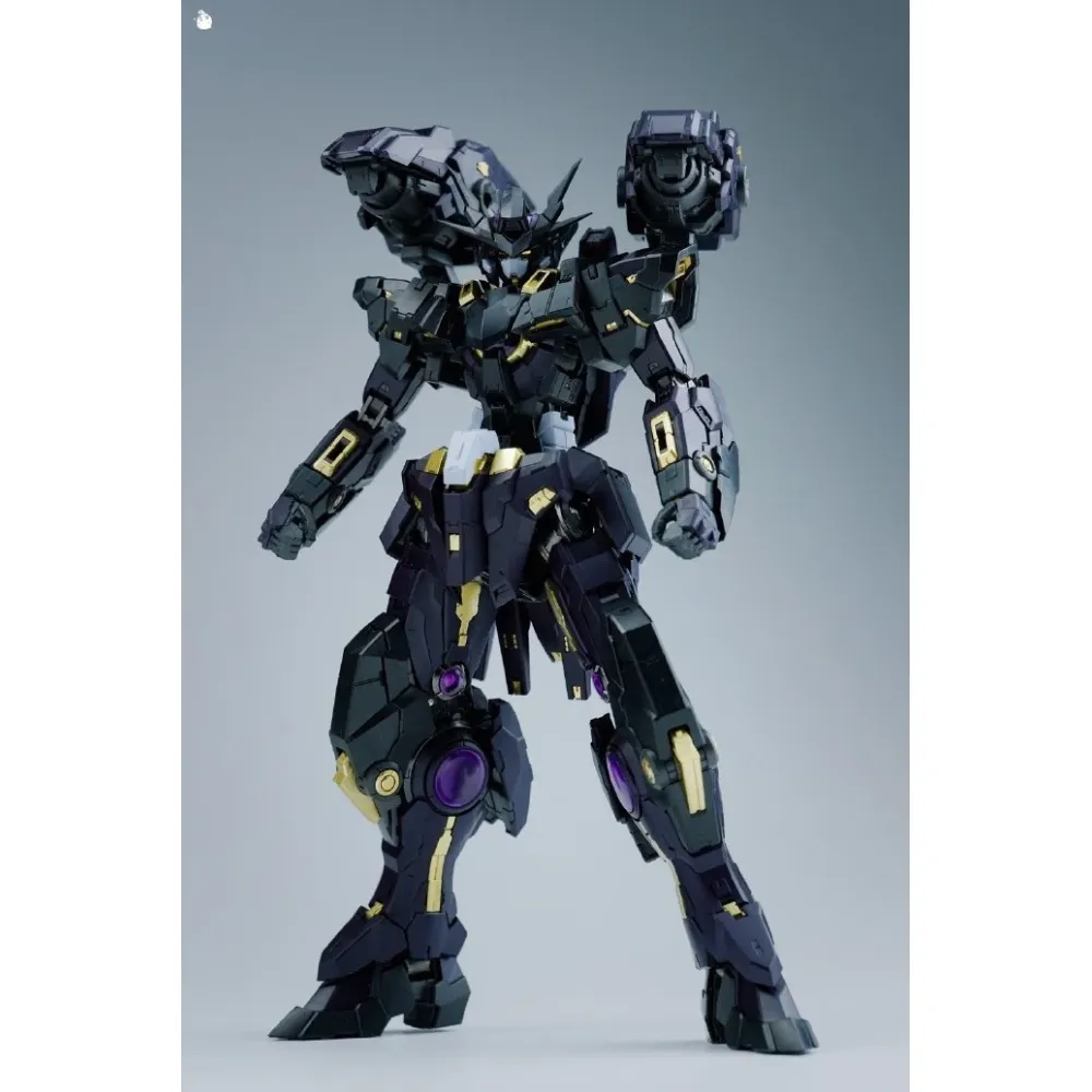 IRON TOYS : TC-03 1/100 STAR FALL – Image 8